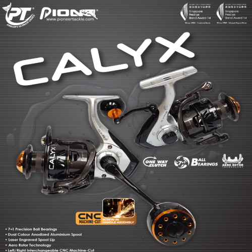 PIONER CALYX-CLX REEL